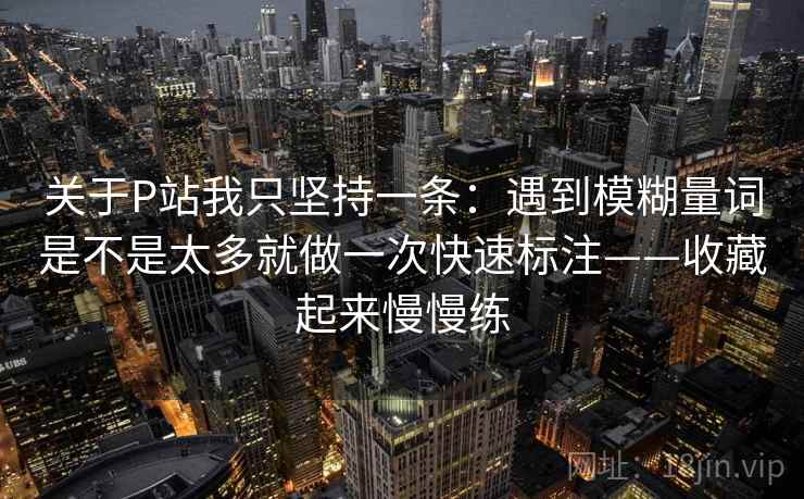 关于P站我只坚持一条：遇到模糊量词是不是太多就做一次快速标注——收藏起来慢慢练